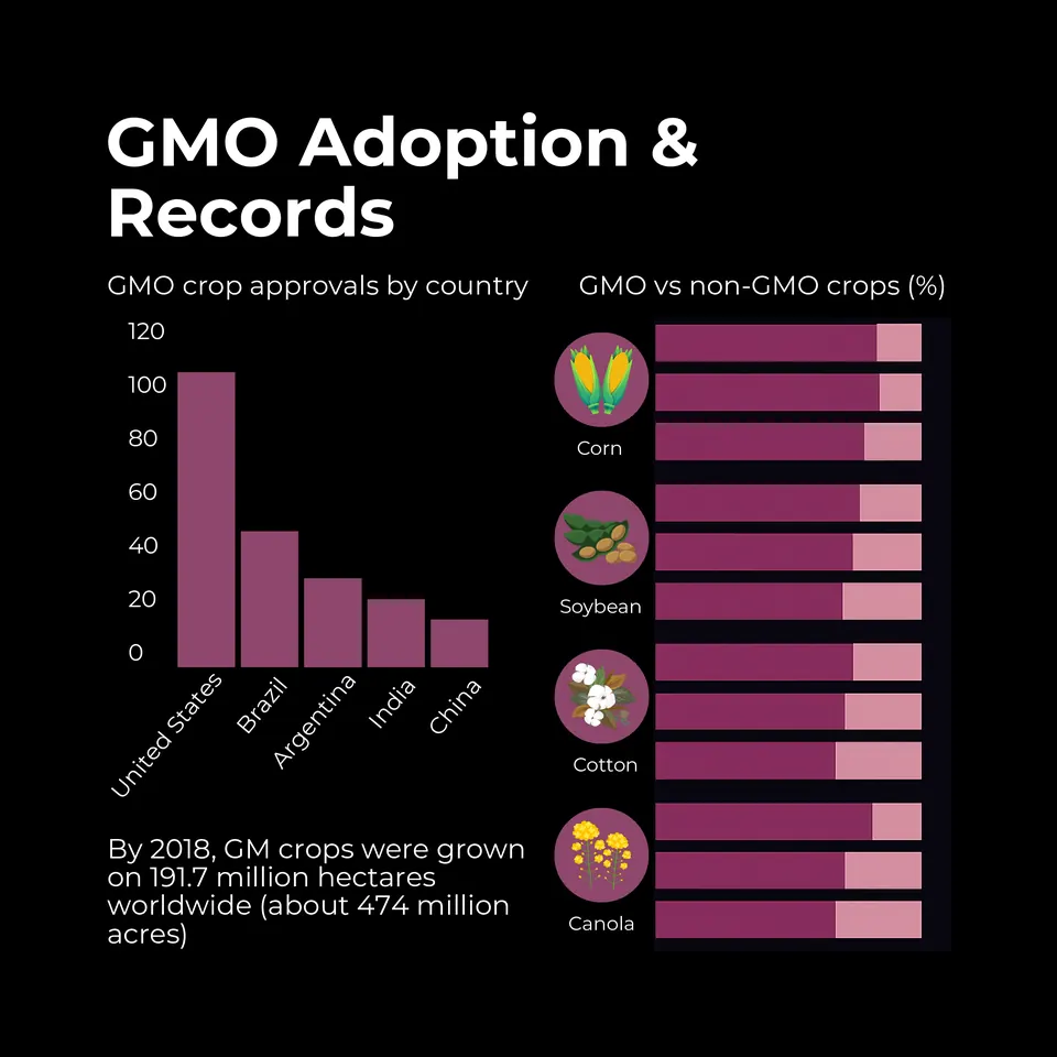 GMO adoption and records chart: GMO crop approvals by country, led by the United States, followed by Brazil, Argentina, India and China, plus GMO versus non-GMO shares for corn, soybean, cotton and canola. By 2018, GM crops were grown on 191.7 million hectares worldwide