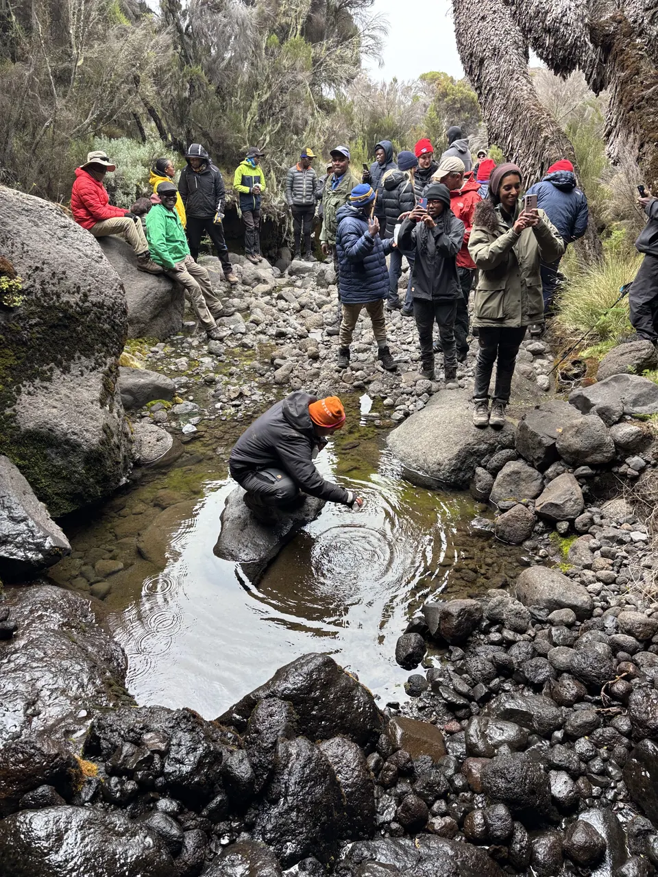Field evaluation of waterborne pathogens for UNESCO, Kilimanjaro, Tanzania